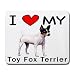 I Love My Toy Fox Terrier Mouse Pad
