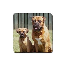 Click here to buy Bullmastiff Rubber Square Coaster (4 pack) by Good Guy Watches & Accessories.