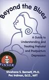 cover of Beyond the Blues: A Guide to Understanding and Treating Prenatal and Postpartum Depression (Paperback)