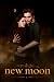 Twilight New Moon Poster Edward and Bella Full Size Print