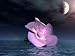Flower in Water, Night 3D - 18