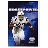 (24x36) Dwight Freeney Horsepower Indianapolis COLTS POSTER NFL