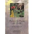 Poisonous Plants and Fungi: An Illustrated Guide (Tso)
