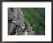 View of the Forest from a Mountian Bike Framed Art Poster Print, 22x18