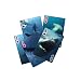 Kikkerland Lenticular 3-D Shark Poker-Size Playing Cards