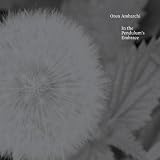 In the Pendulums Embrace [VINYL]