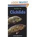 Pocket Professional Guide to Cichlids
