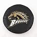 Western Michigan Broncos Tire Cover Color: Black, Size: E10