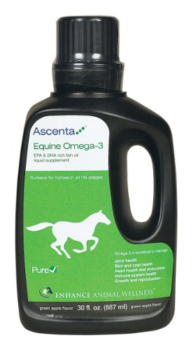 EQUINE OMEGA 3 LIQ 30OZ PLSTC BTL