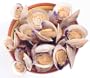 The Crab Place Fresh Middleneck Clams, 1 Dozen