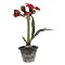 Faux Potted Amaryllis - Red