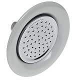 Pollenex Fixed Showerhead, Porcelain and Chrome #DP1008