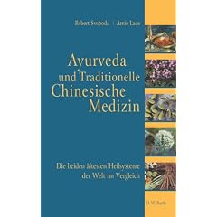 Ayurveda und Traditionelle Chinesische Medizin. Die beiden �ltesten Heilsysteme der Welt im Vergleich