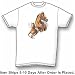Blanket Appaloosa - Horse and Rodeo Premium T-Shirt