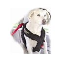 Ruff Rider Roadie Elite Canine Vehicle Restraint System/Utility Harness, size 4
