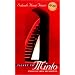 Ticket to Minto: Stories of India and America (Iowa Short Fiction Award)