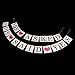 Pixnor Bunting Banner Wedding Bridal Party Decoration Photo Prop (HE ASKED SHE SAID YES)