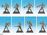 Eigenschaften Rackham BARAG1 / Rackham RK08001 - Confrontation Table Top, Krieger Avvagdus