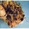 The Best Madonna Songs Top 10