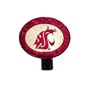 Washington State Art Glass Nightlight