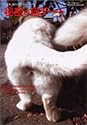 秘密の猫デート―東京、彼らのラブアフェア (Tsukasa mook (48))