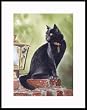 Gray Boy Framed Mini Print by Drew Strouble