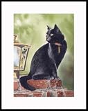 Gray Boy Framed Mini Print by Drew Strouble
