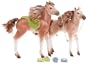 Barbie Cali Girl: Torrance & Laguna Colt Set