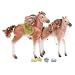Barbie Cali Girl: Torrance & Laguna Colt Set