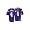 Minnesota Vikings Purple