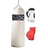 2 Pairs of Boxing Gloves with One Punching Bag New !