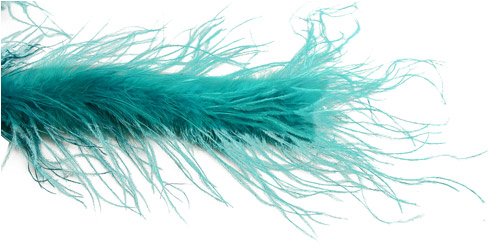 Girl's Jade Ostrich Feather Costume Boa