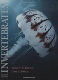 Invertebrates 画像