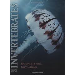 Invertebrates