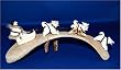 IVORY DOG SLED TEAM by MARY SEPPILU