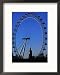 London Eye, London, United Kingdom Framed Photographic Poster Print by Neil Setchfield, 17x21