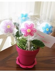Single Detail Page Misc: [ Momokas Apron ] Cake Pops Garden Gift Kit - 8 ct. Flower Pots (Makes 40 pops)
