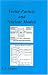 Book Vector Particle and Nuclear Models