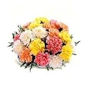 Multi Colored Carnations