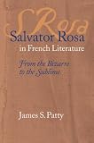 Salvator Rosa in French Literature: From the Bizarre to the Sublime (Studies in Romance Languages)