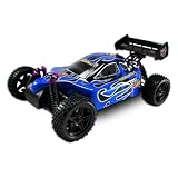 Redcat Racing Shockwave 4WD 1:10 Nitro RTR RC Buggy Blue by Redcat Racing