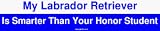 My Labrador Retriever Is Smarter Than Your Honor Student Bumper Sticker