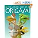 Usborne Book of Origami (Usborne How to Guides)