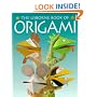 Usborne Book of Origami (Usborne How to Guides)