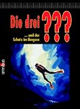 Die 3 Fragezeichen: Die drei ??? und der Schatz im Bergsee - 