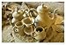 Ashen Tea Set after World Trade Center Collapse, 2001 Art Photographic Poster Print b...