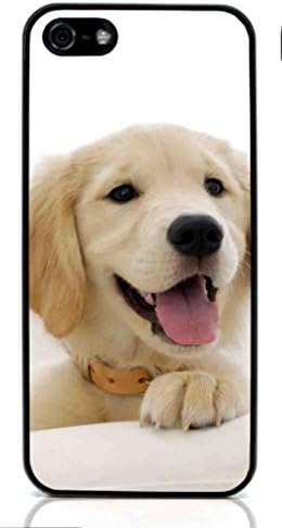 Golden Retriever Dog Hard Case for Apple iPhone 5/5S ( Sugar Skull )