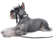 Halti Training Headcollar - Size 4