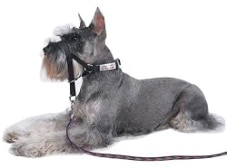 Halti Headcollar Black Size 2