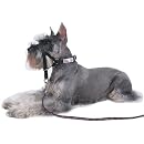 Halti Training Headcollar - Size 3
